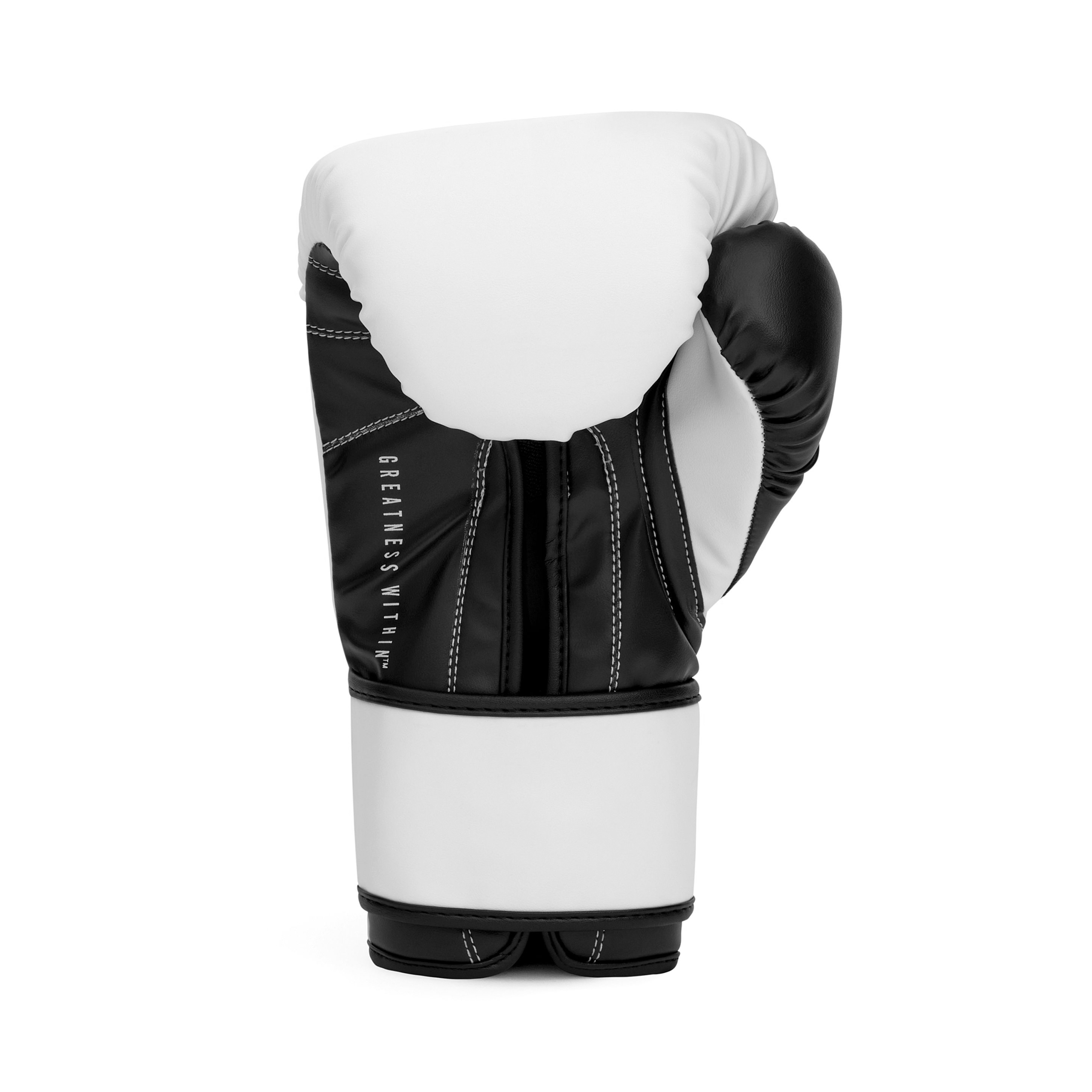 Powerlock OG Boxing Glove Hook & Loop - Image 25